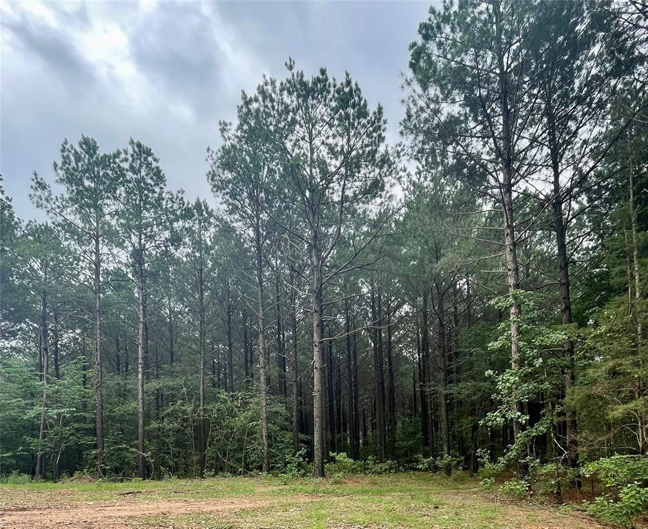 27 Upper Vista Ridge Trail Property Photo 1