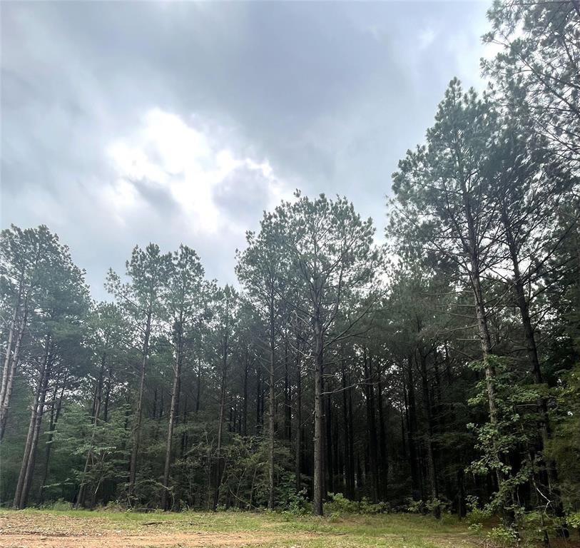 27 Upper Vista Ridge Trail Property Photo 2