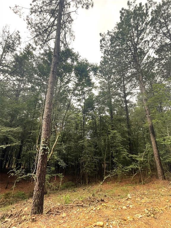 29 Upper Vista Ridge Trail Property Photo 2