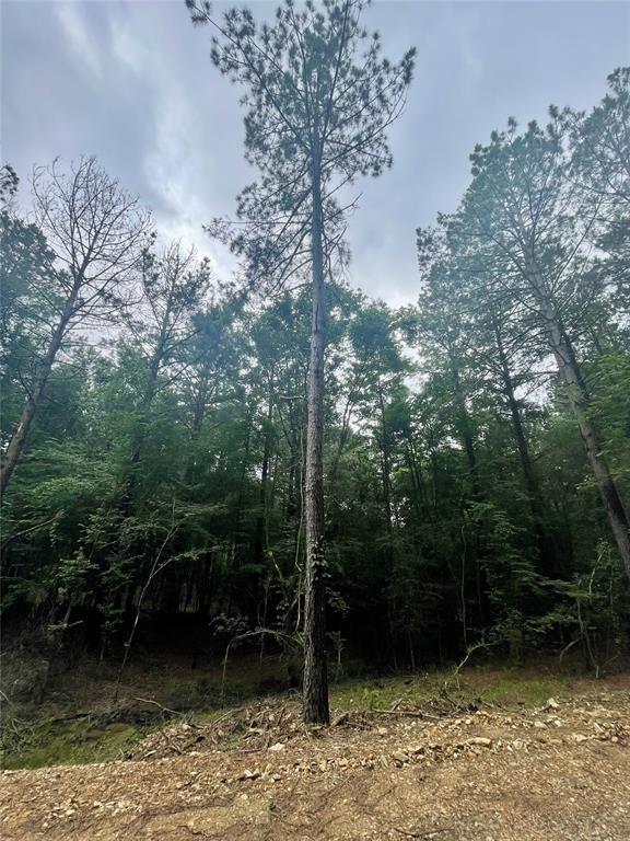 29 Upper Vista Ridge Trail Property Photo 3