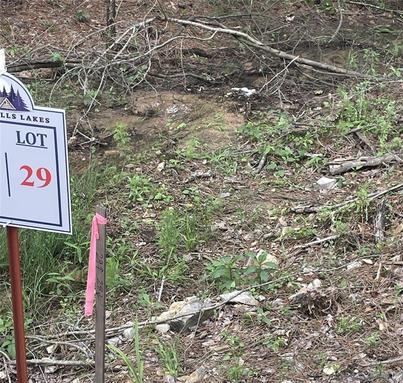 29 Upper Vista Ridge Trail Property Photo 5