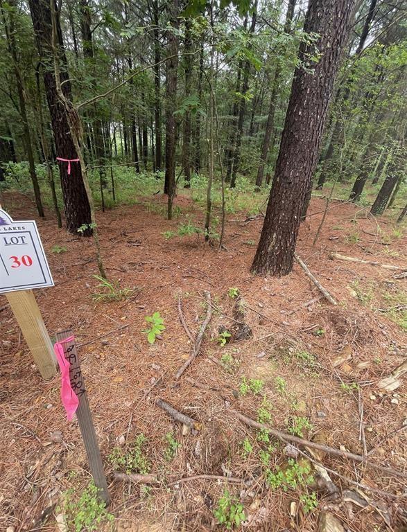 30 Upper Vista Ridge Trail Property Photo 5
