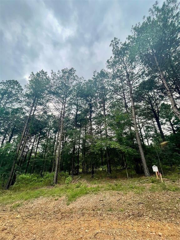 32 Upper Vista Ridge Trail Property Photo 1