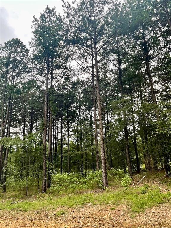 32 Upper Vista Ridge Trail Property Photo 2