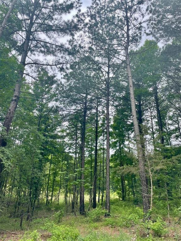 32 Upper Vista Ridge Trail Property Photo 3