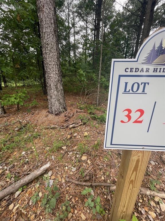 32 Upper Vista Ridge Trail Property Photo 7
