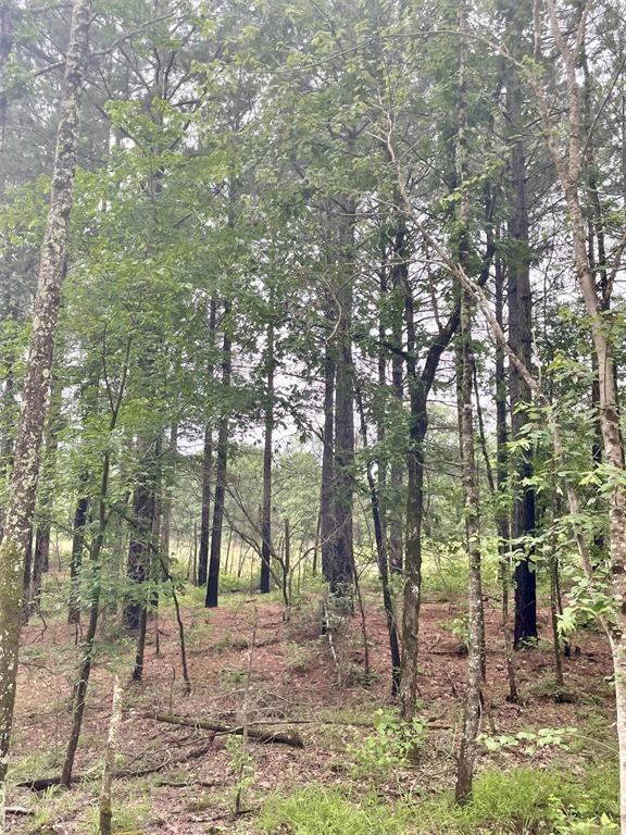 33 Upper Vista Ridge Trail Property Photo 2