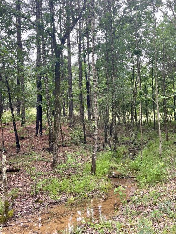 33 Upper Vista Ridge Trail Property Photo 3