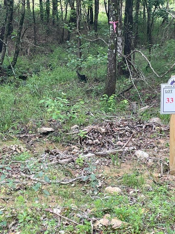 33 Upper Vista Ridge Trail Property Photo 4