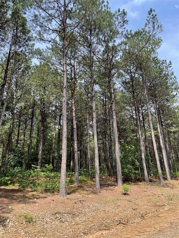 38 Pine Crest Court Property Photo 2