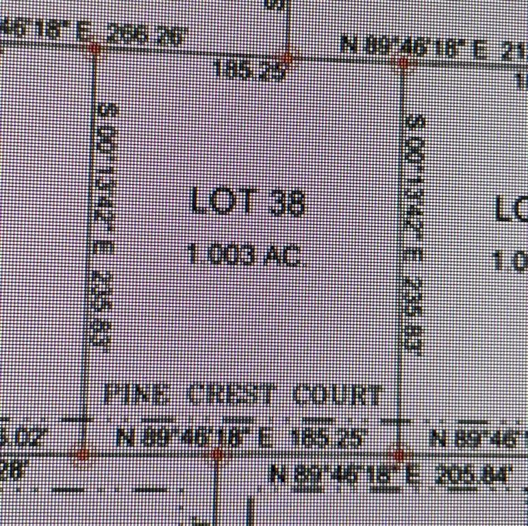 38 Pine Crest Court Property Photo 8