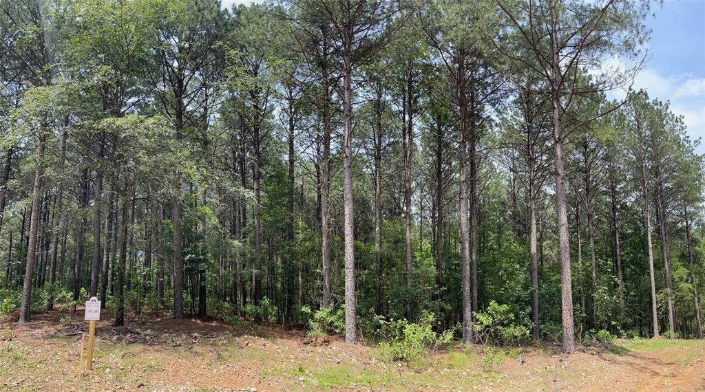 40 Pine Crest Court Property Photo 1