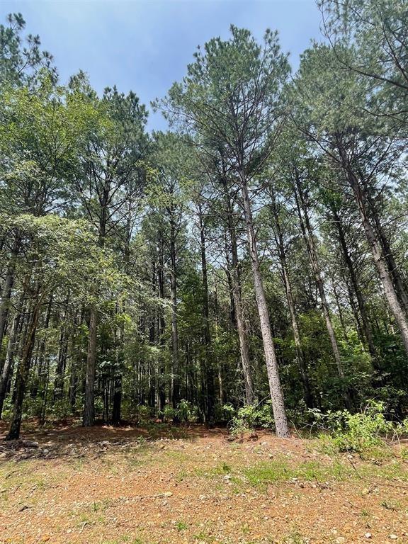 40 Pine Crest Court Property Photo 2