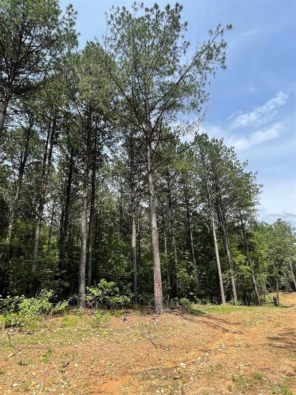 40 Pine Crest Court Property Photo 3