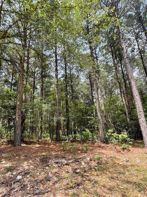 40 Pine Crest Court Property Photo 5