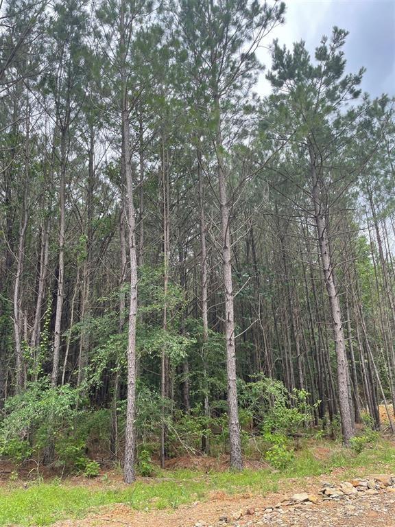 109 Timberland Court Property Photo 3