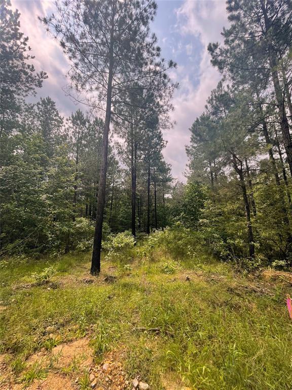 44 High Point Court Property Photo 2