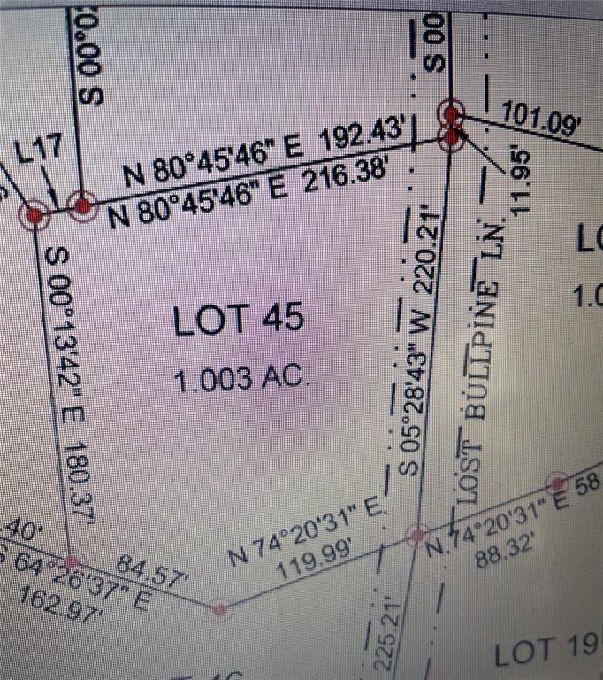 45 Lost Bullpine Lane Property Photo 3