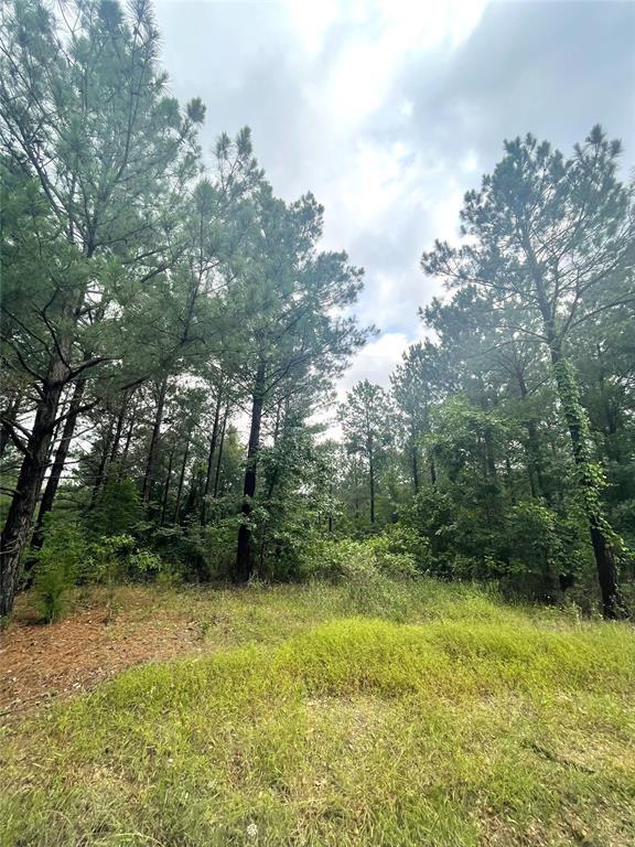 46 Lost Bullpine Lane Property Photo