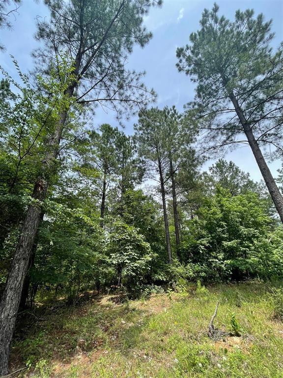 48 Cedar Hilltop Way Property Photo 2