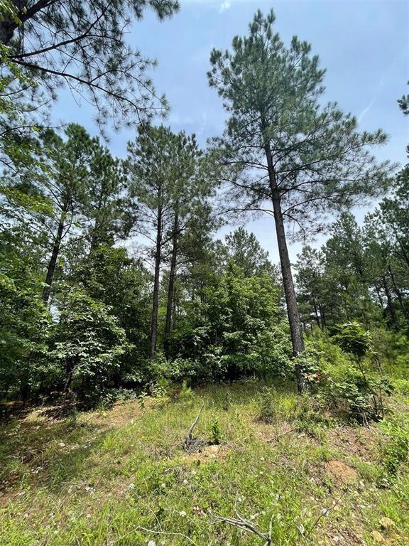 48 Cedar Hilltop Way Property Photo 3