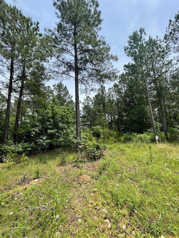 48 Cedar Hilltop Way Property Photo 4
