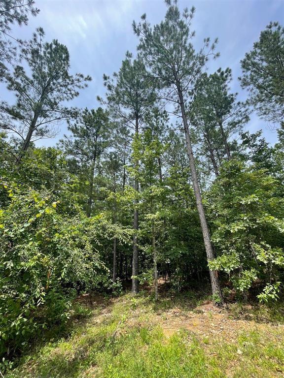 50 Cedar Hilltop Way Property Photo 2