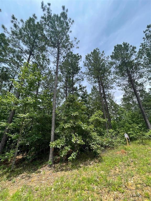 50 Cedar Hilltop Way Property Photo 3