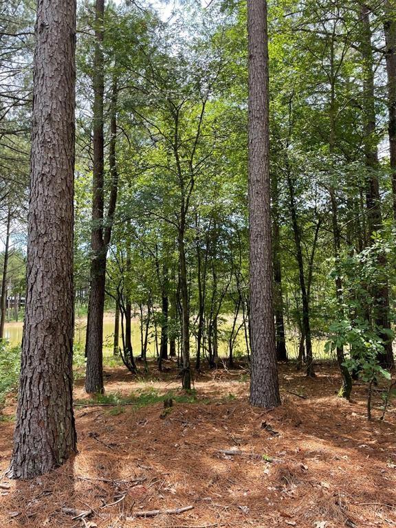53 Pine Crest Court Property Photo 3