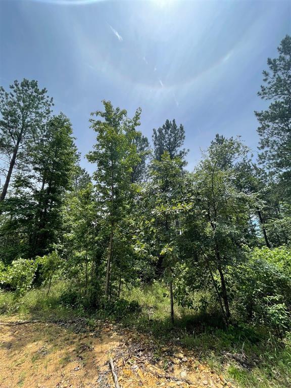 64 Cedar Hilltop Trail Property Photo 2