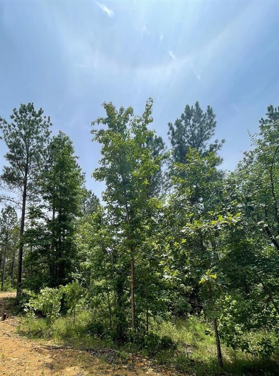64 Cedar Hilltop Trail Property Photo 3