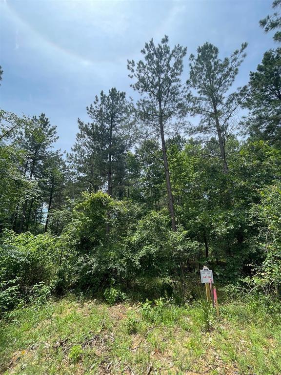 64 Cedar Hilltop Trail Property Photo 4