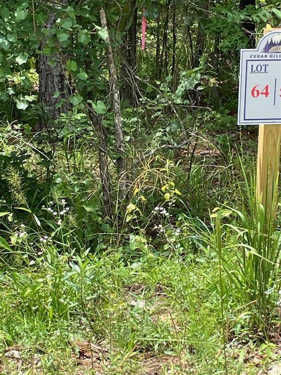 64 Cedar Hilltop Trail Property Photo 9