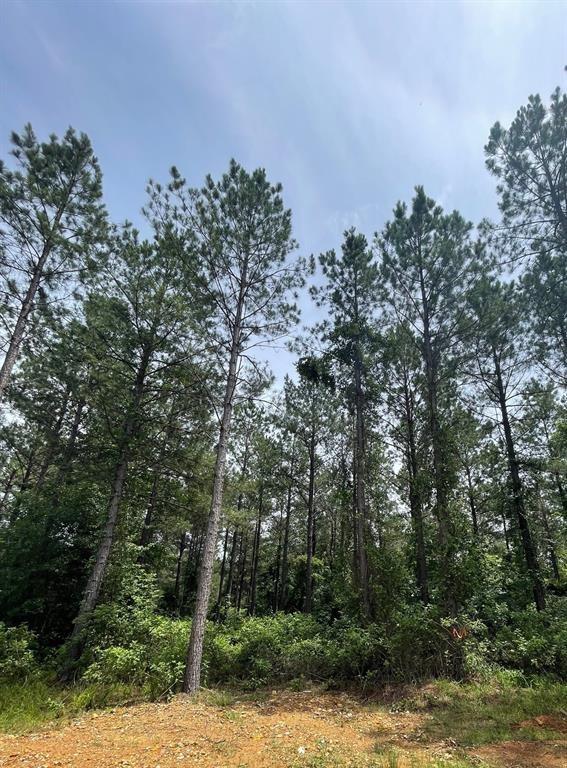 65 Cedar Hilltop Trail Property Photo 2