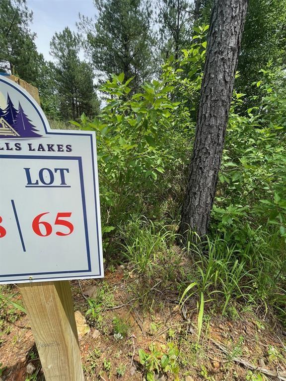 65 Cedar Hilltop Trail Property Photo 9