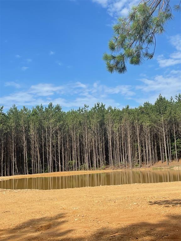 102 Hidden Pond Property Photo 2