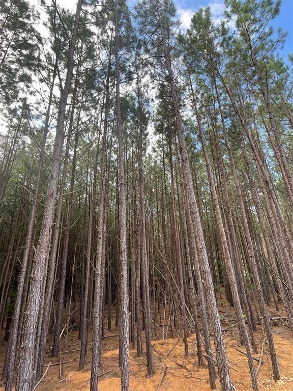 102 Hidden Pond Property Photo 6