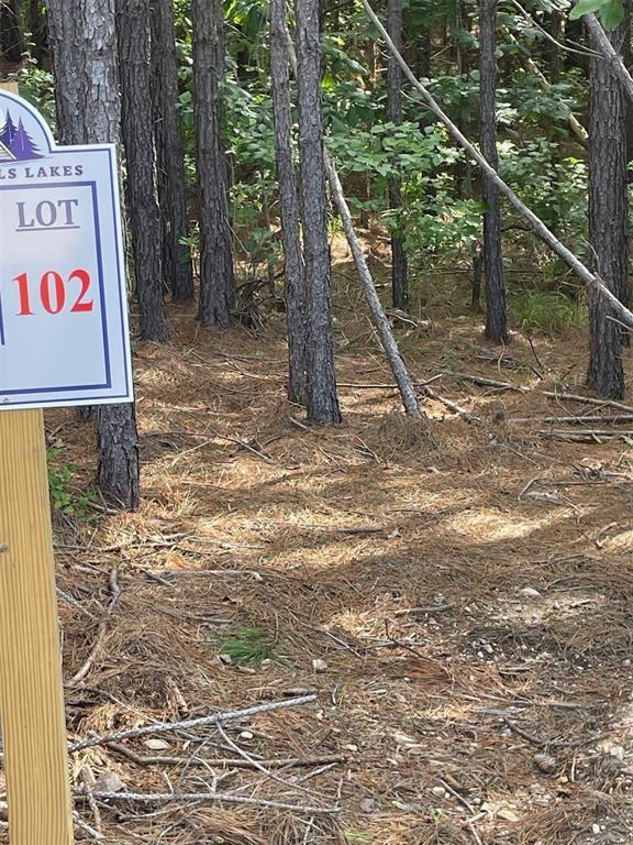 102 Hidden Pond Property Photo 12