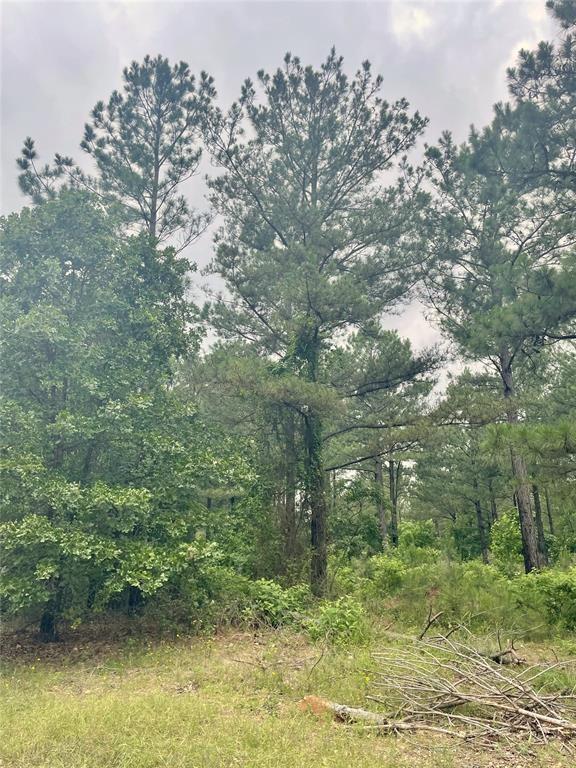 66 Pine Crest Property Photo 2