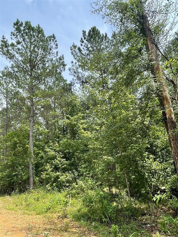 69 Pine Crest Property Photo 2