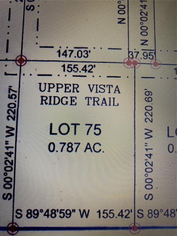75 Upper Vista Ridge Trail Property Photo 4