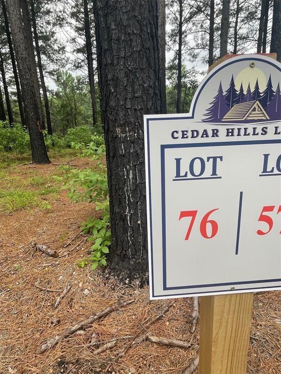 75 Upper Vista Ridge Trail Property Photo 8