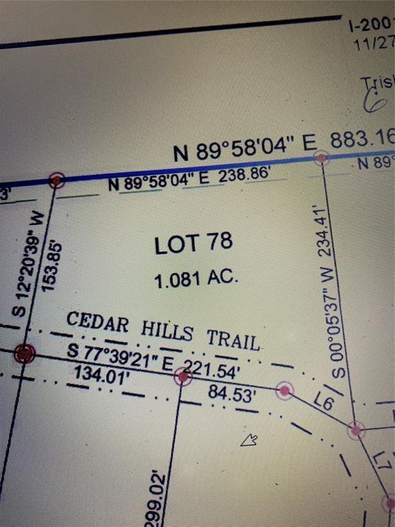 78 Cedar Hills Trail Property Photo 5