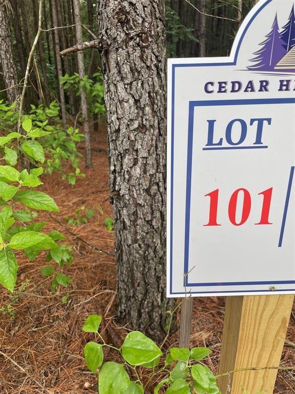 101 Heavenly Pine Property Photo 7