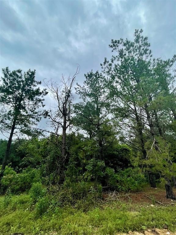 79 Hidden Trail Property Photo 3