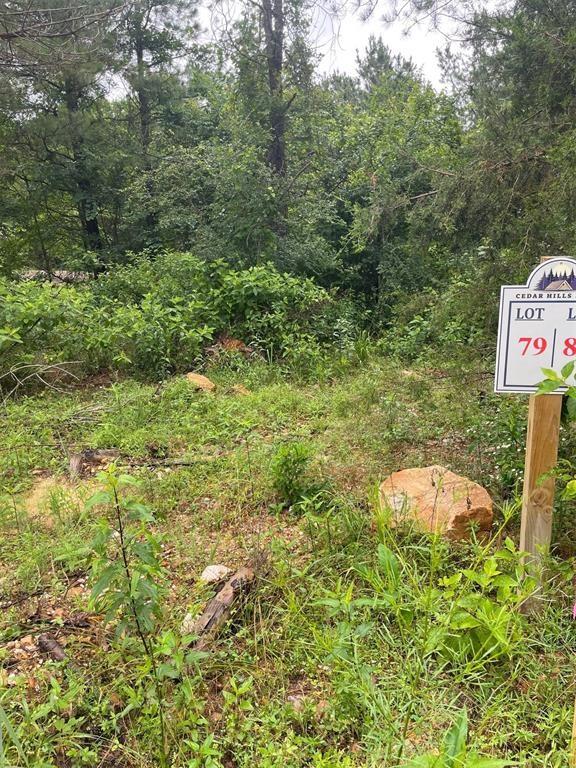 79 Hidden Trail Property Photo 9