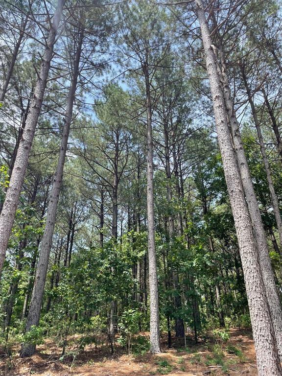 100 Hidden Pond Property Photo 2