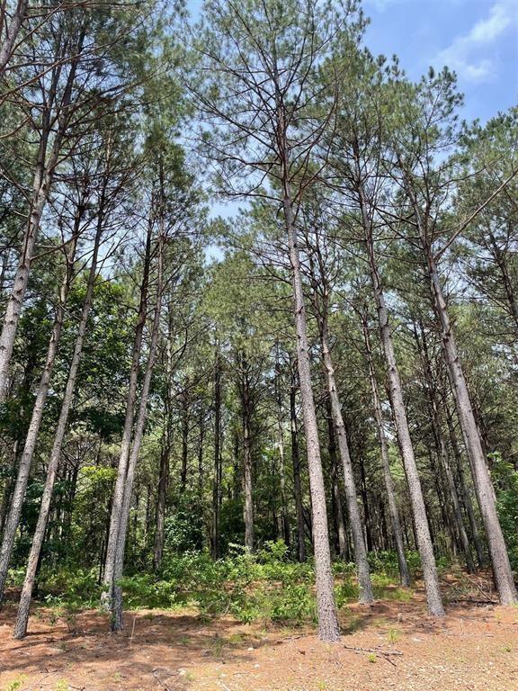 100 Hidden Pond Property Photo 3