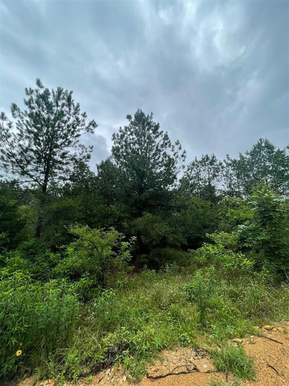 80 Hidden Trail Property Photo 3