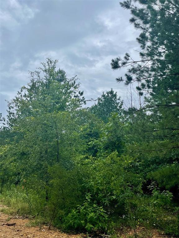 80 Hidden Trail Property Photo 5